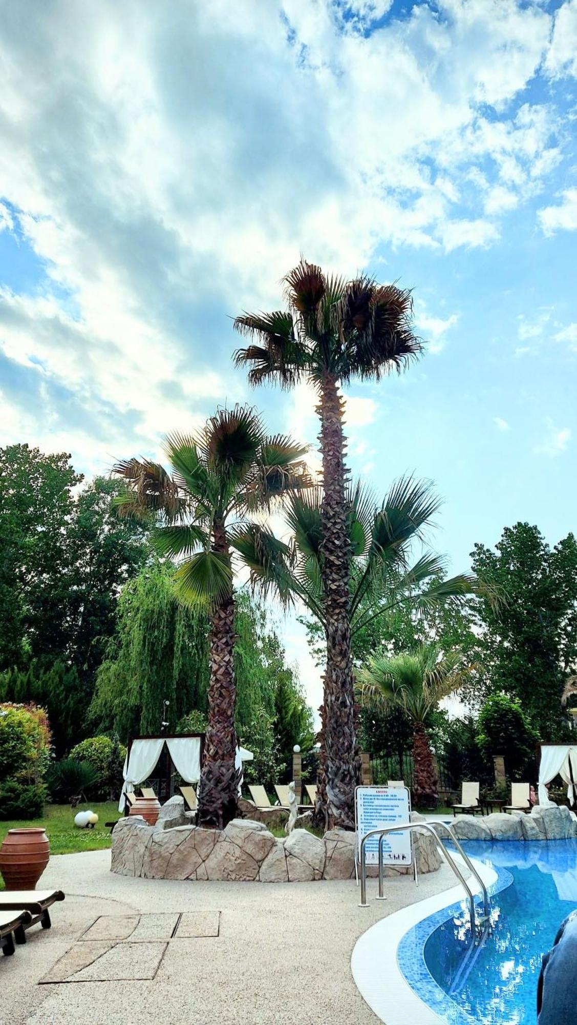 Апартаменты Aphrodite Roce Sunny Beach Esterno foto
